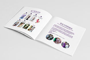 深圳市頂點企業(yè)形象策劃 安娜品牌形象色彩與畫冊設(shè)計解析